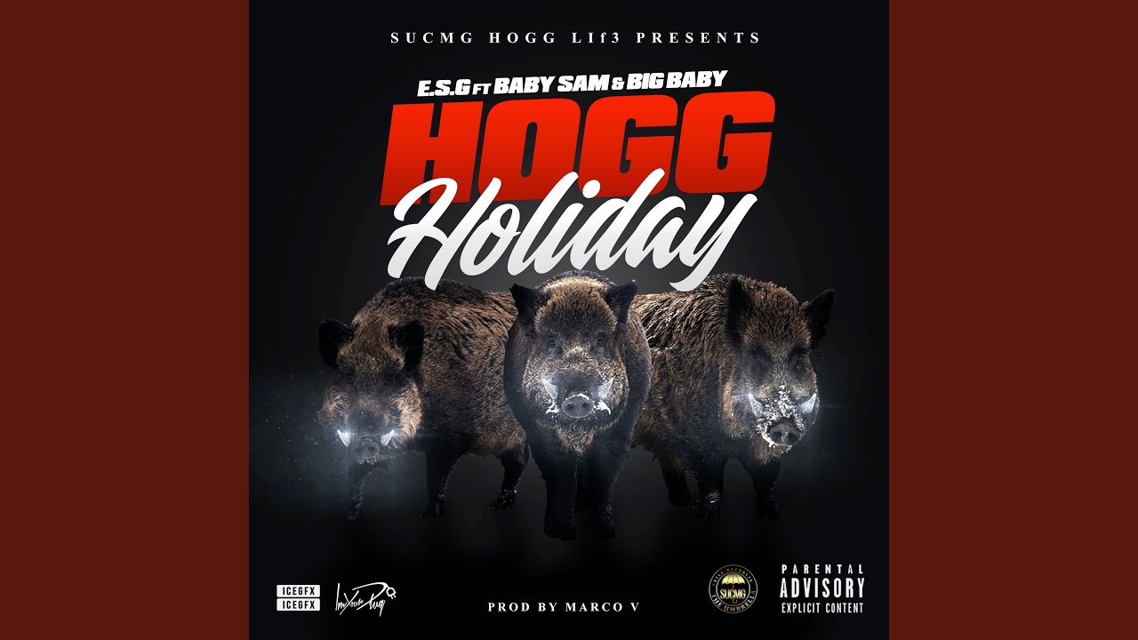 Hogg Holiday
