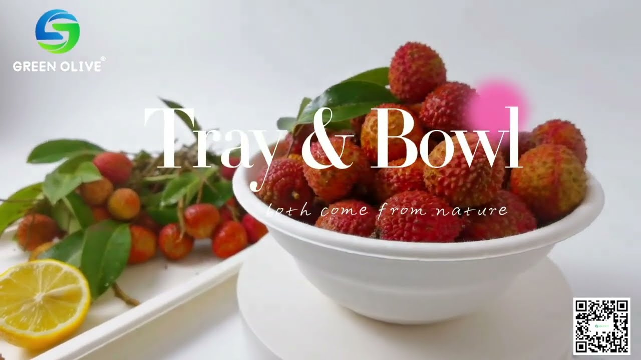 Eco Friendly Bowls 100% Compostable Disposable Biodegradable Sugarcane Bagasse Bowl