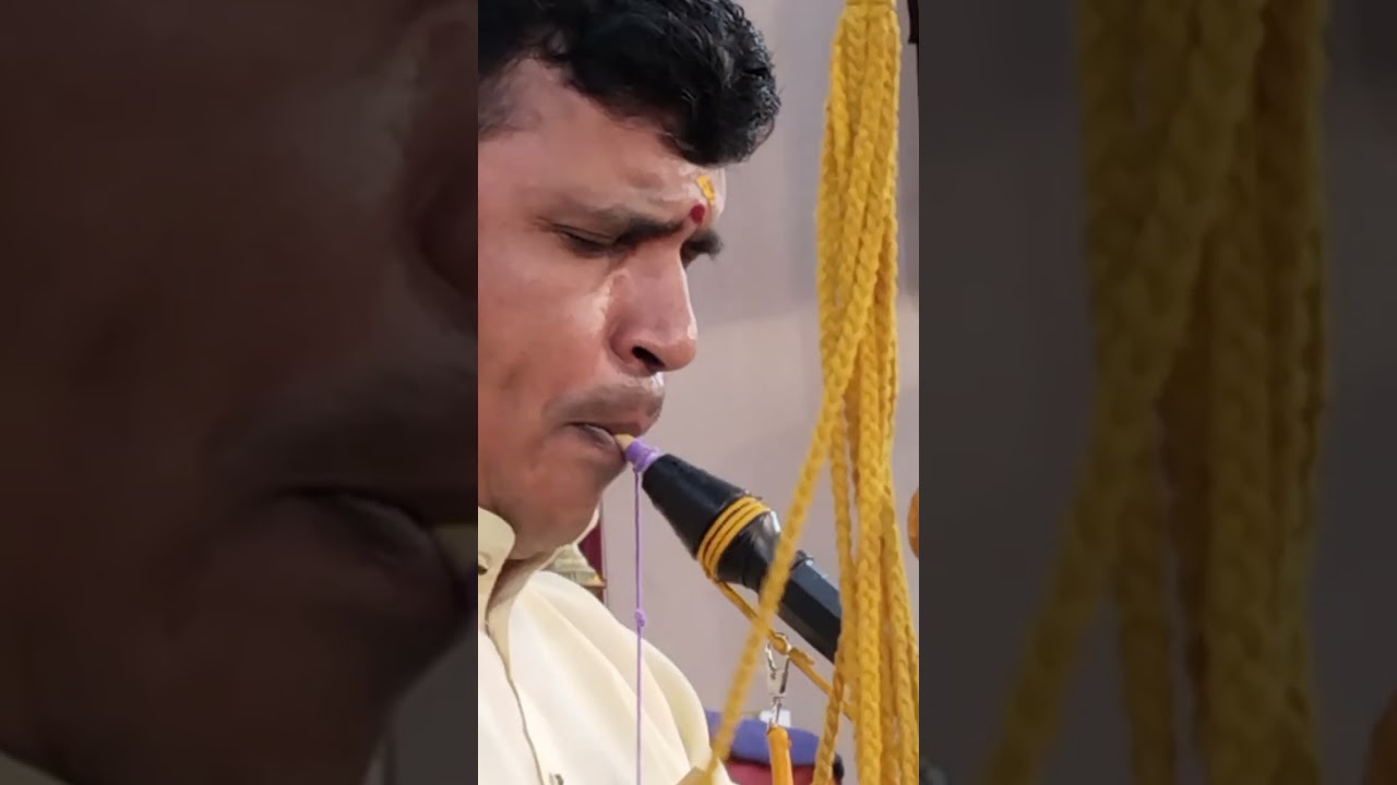 Ragam - Hamsanandi | Nadhaswaram Chinnamanur Vijay Karthikeyan sir and Idumbavanam Ilayaraja sir🙏🏻✨🤩