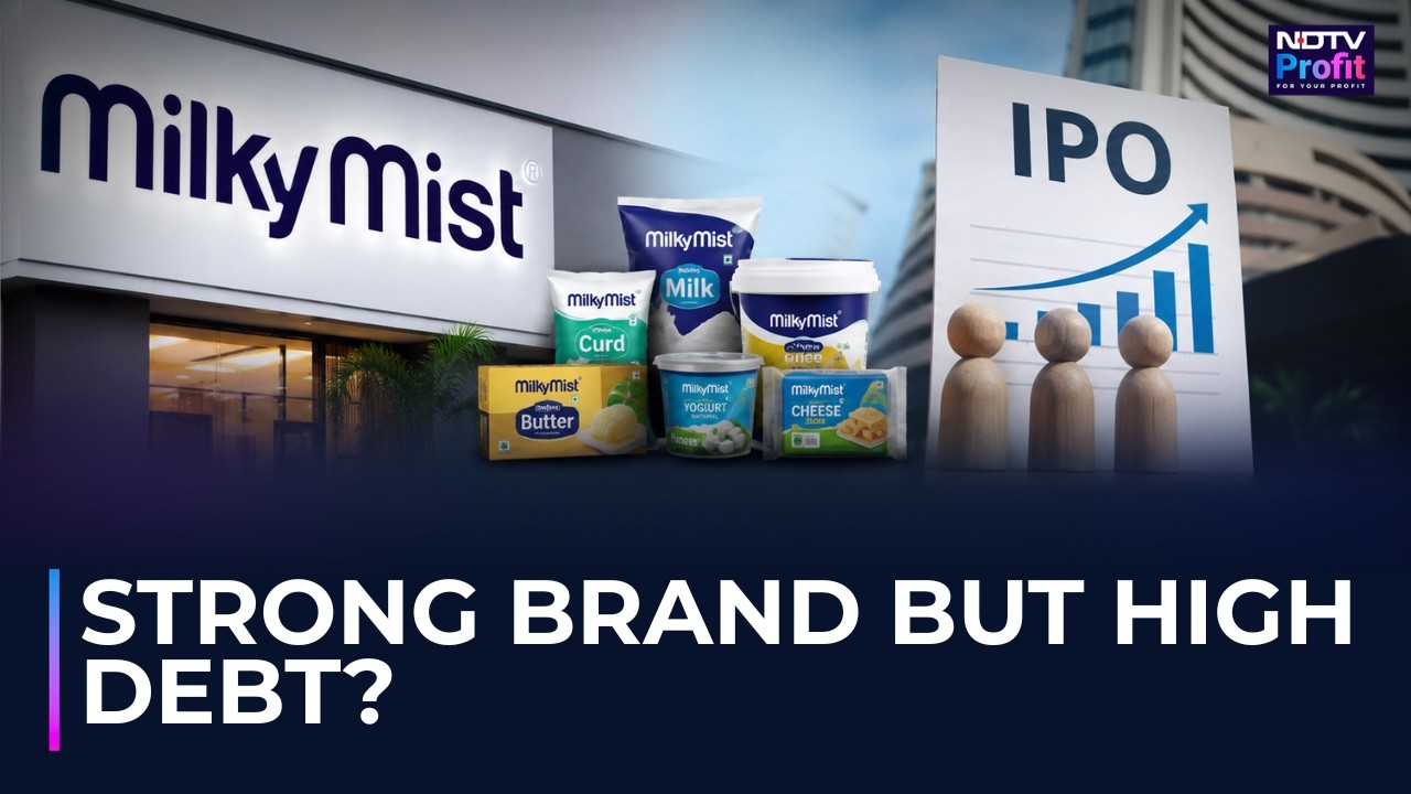 IPO Milky Mist открывается сегодня: в чем сильные стороны и каковы угрозы? Разбор ключевых деталей