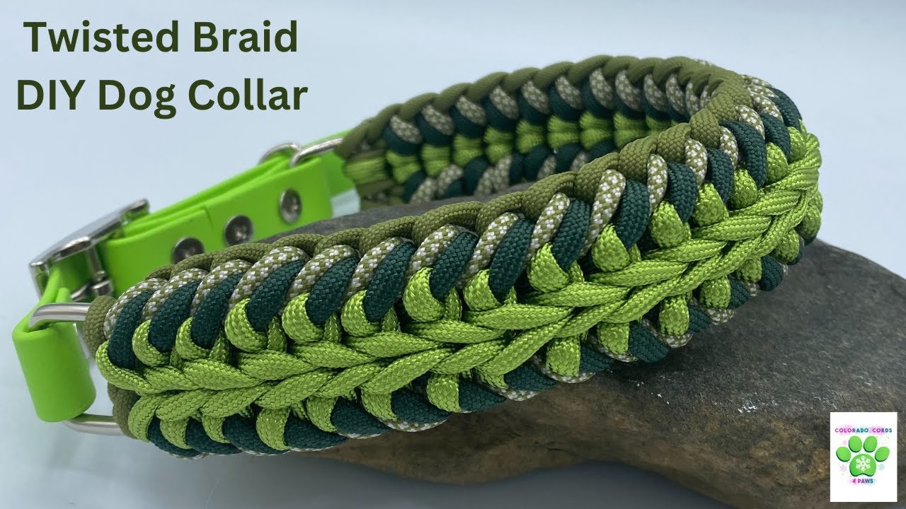 Twisted Braid DIY Dog Collar