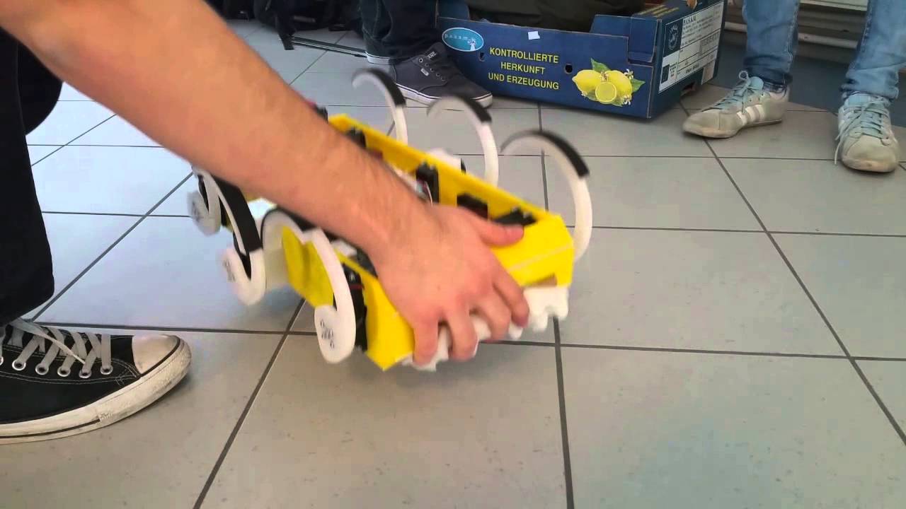 iR BOT Test