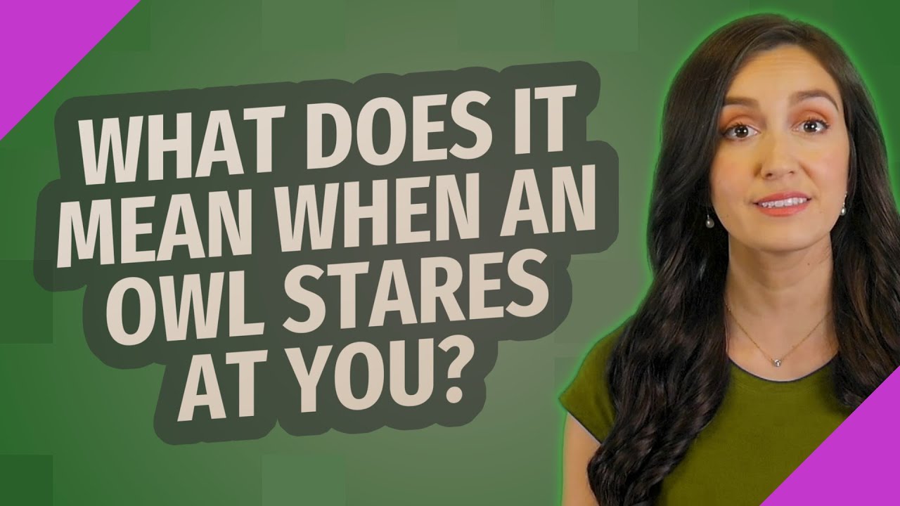 What does it mean when an owl stares at you?