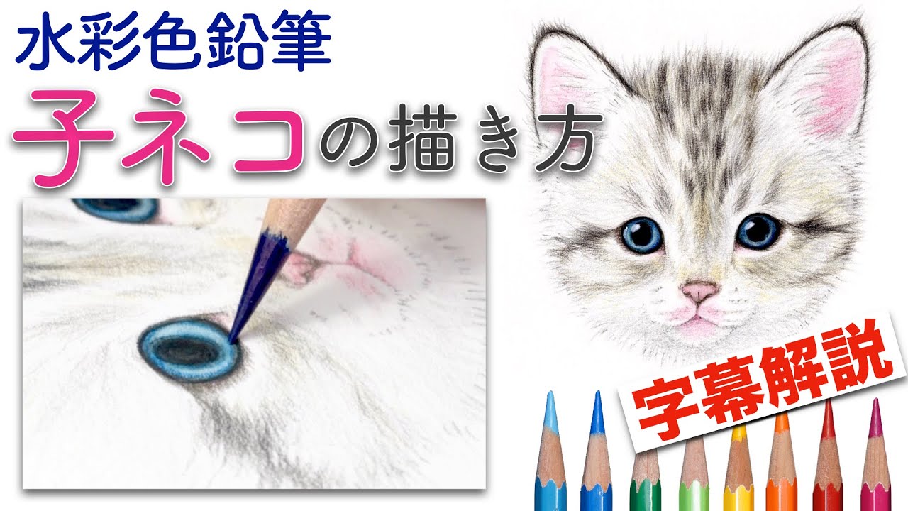子猫の描き方【水彩色鉛筆】丸から描くリアルなネコの顔 How to draw a kitten with watercolor pencils