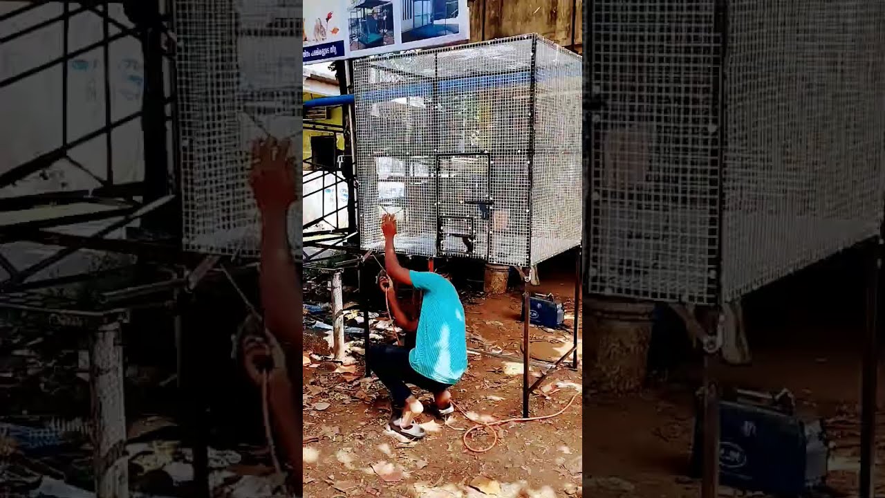 African lovebirds cage making 
