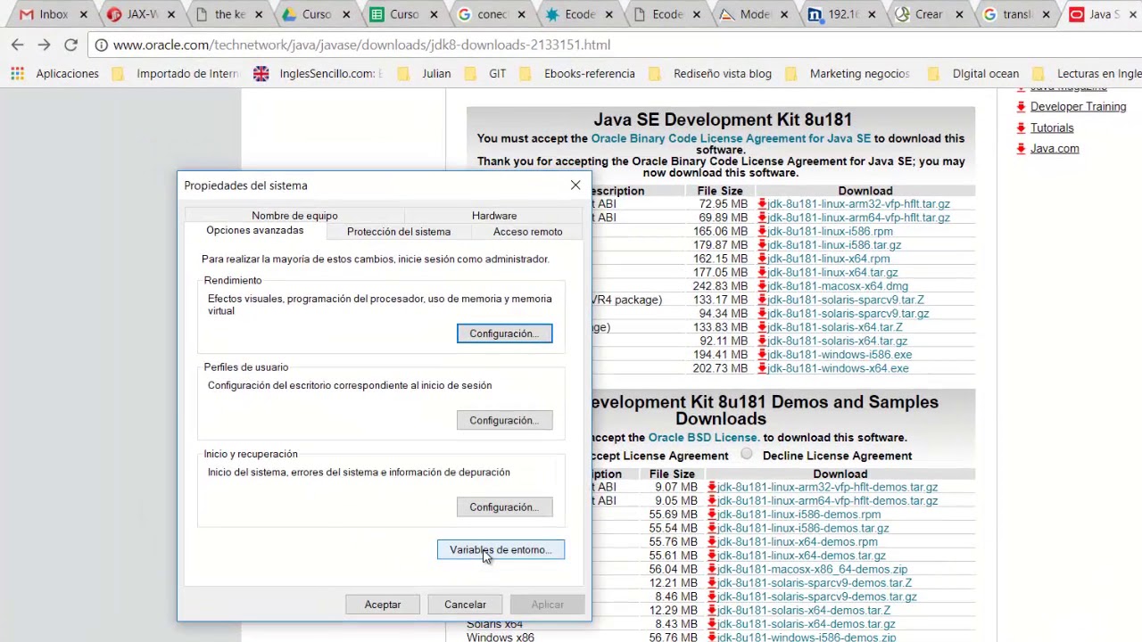 Configuraci&oacute;n variable de entorno Java