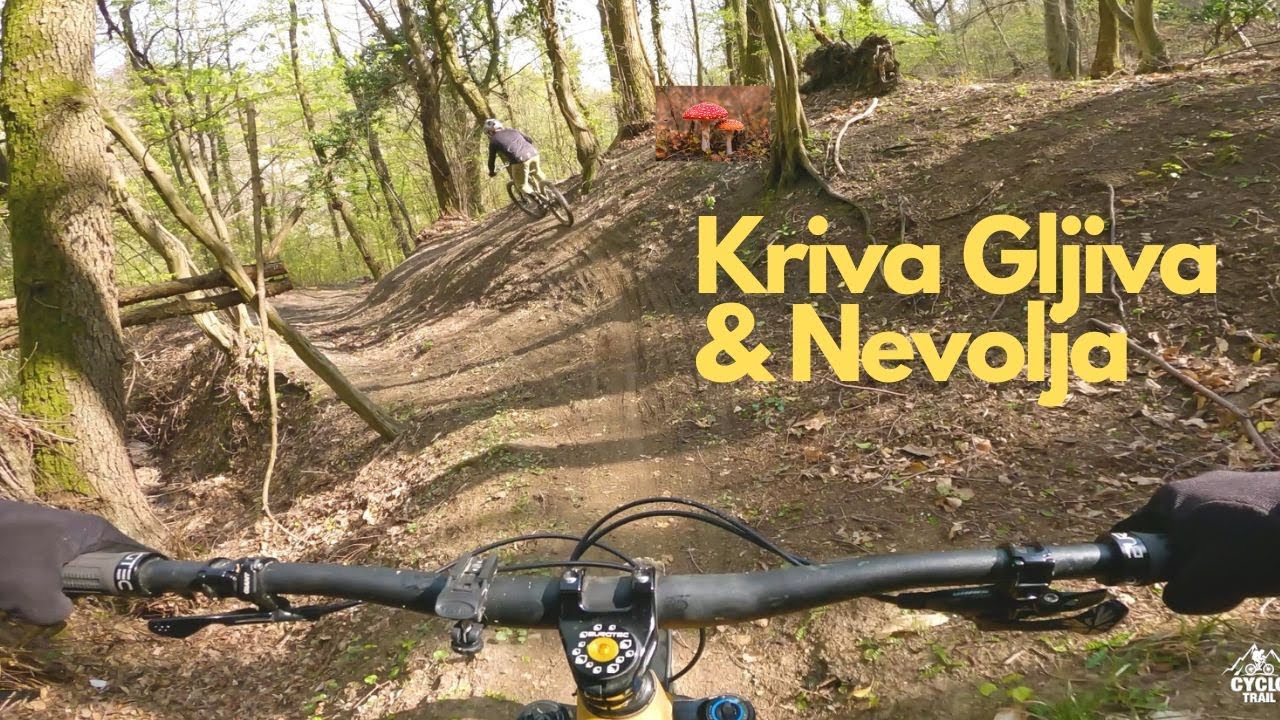 New trails on Medvednica: Kriva Gljiva & Nevolja