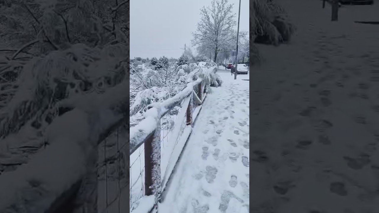 Nieve en las Rozas Madrid. #españa #madrid 