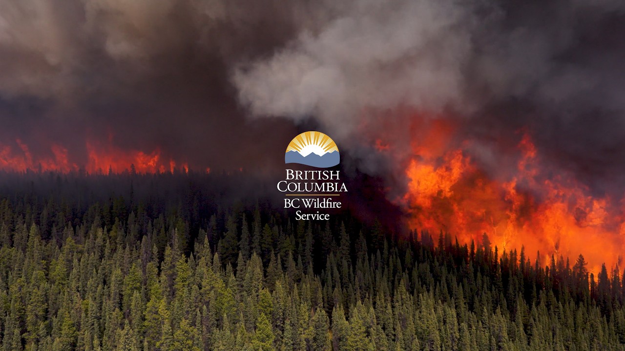 July 2 is Wildland Firefighter Day.