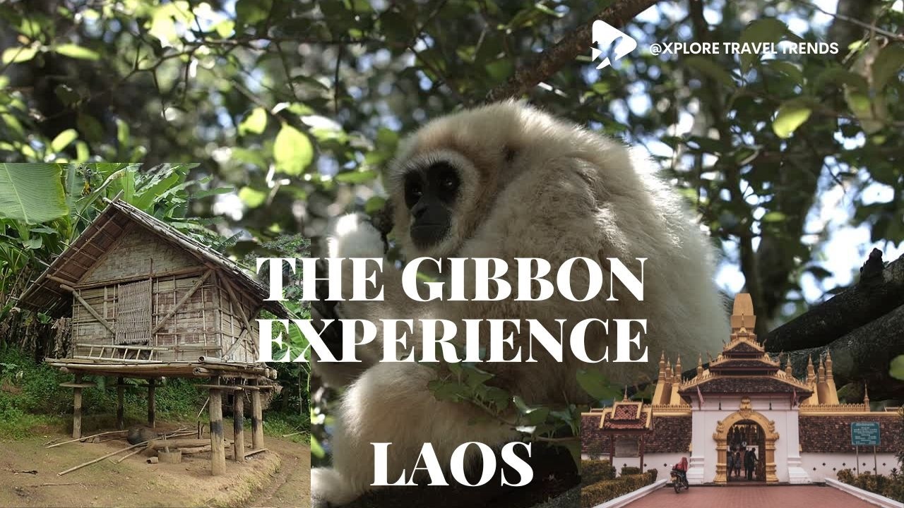 Bokeo & Huay Xai Travel Experience | Gateway to the Gibbon Experience & Mekong Slow Boat Adventure