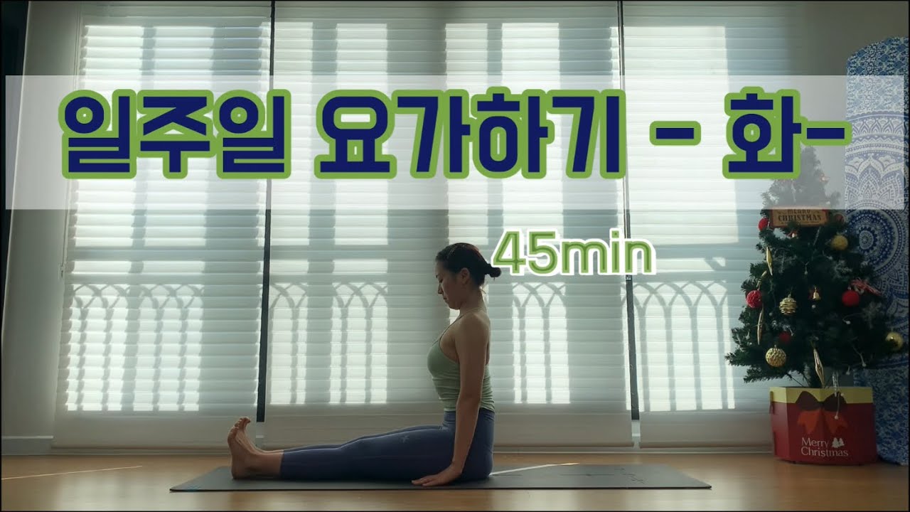[서리요가#160] 누구나 할 수 있는 45분 아쉬탕가요가 (리뉴얼버전) / 태양경배, 선자세, 앉은자세