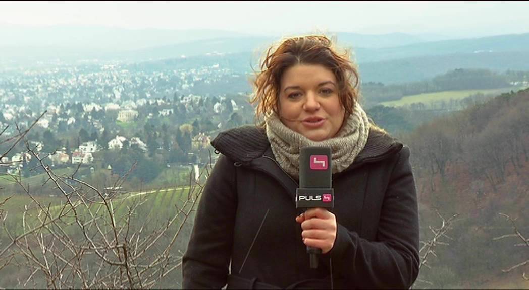 Verena Schneider Sturmwetter Cafe Puls