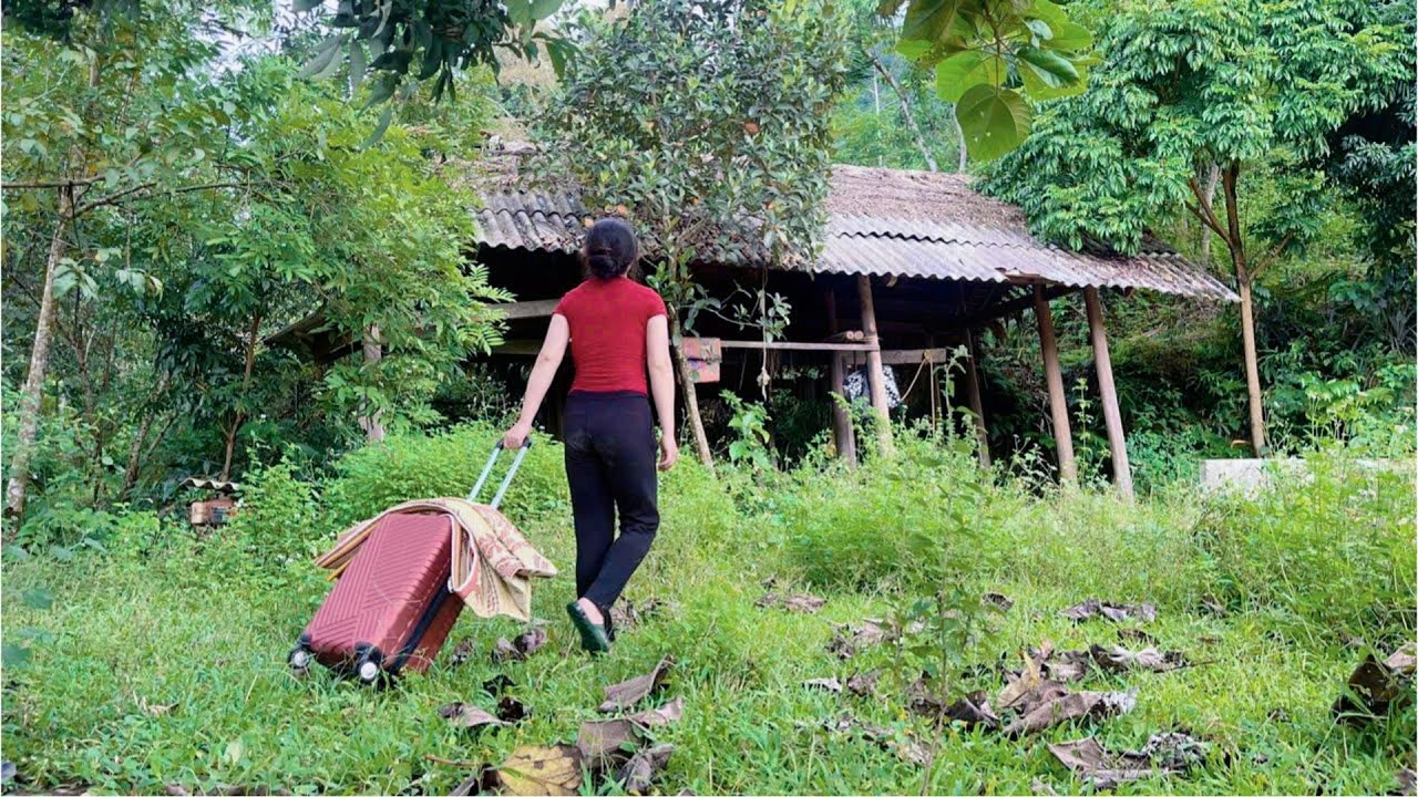 Full Video: The Journey Home After 6 Years Away - Unexpectedly Kicked Out - Building a Bamboo House