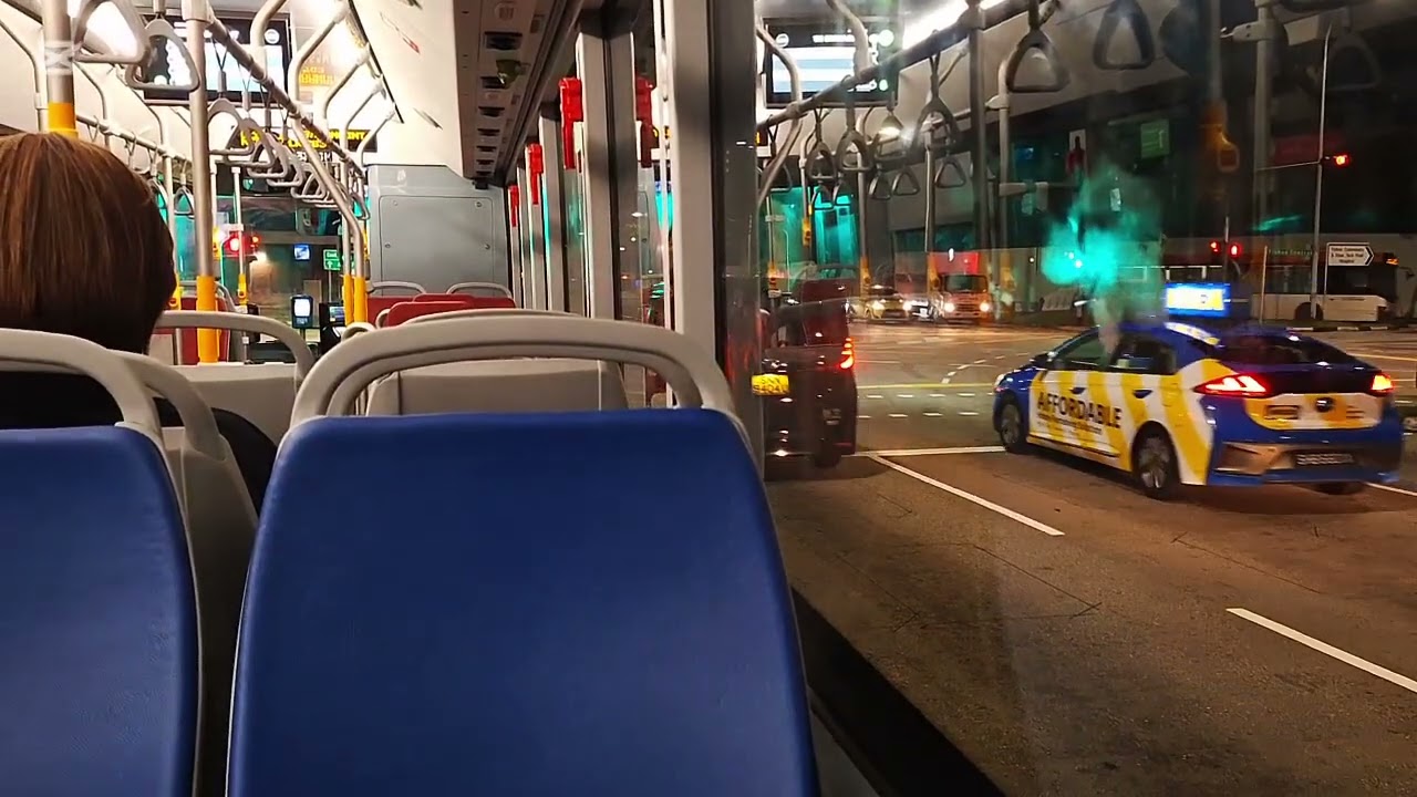 SG3233M Service 117. Last Bus Ride BYD BC12A04 Single Deck (3-Door) Electric Bus. SG❤️BUS. 11/11/25.