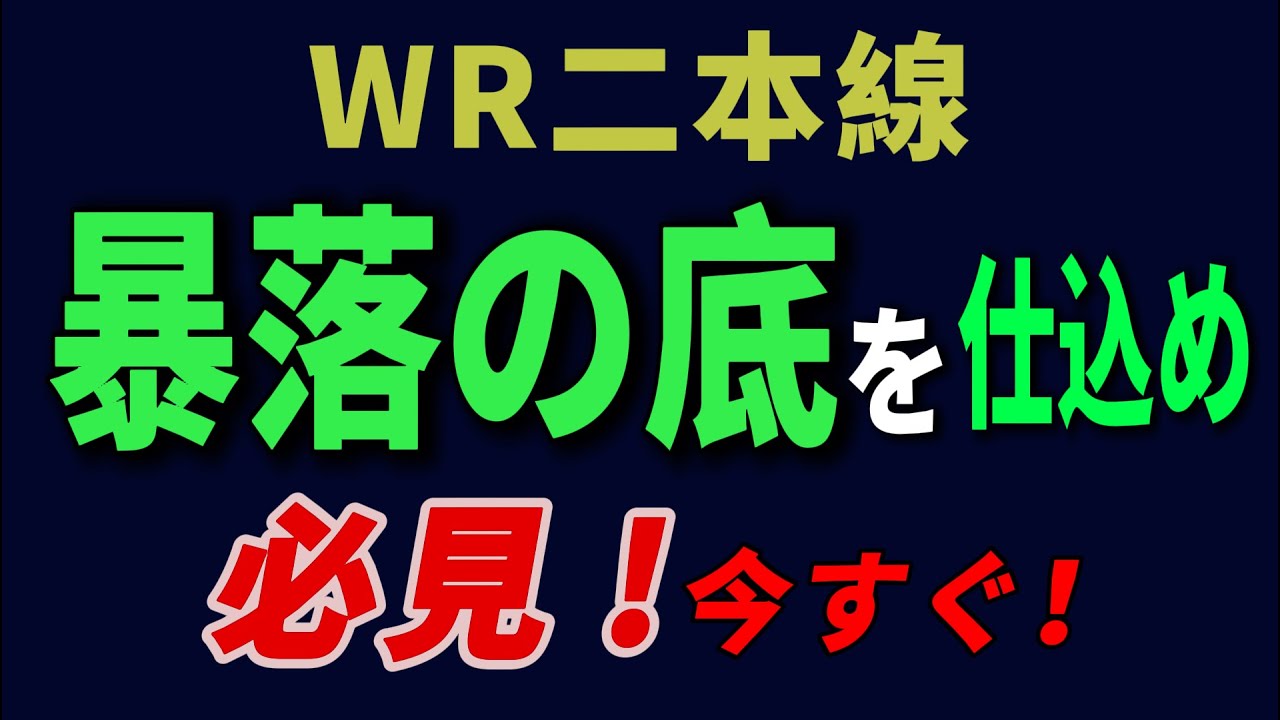 WR二本線で暴落の底を仕込め！株初心者必見！＃株式投資＃テクニカル分析＃WR＃ウイリアムズ指標