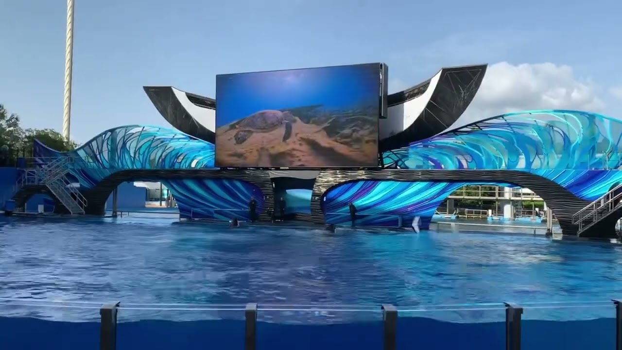Sea world ❤️Orlando Florida 