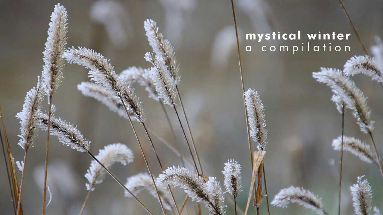 Mystical winter - a compilation