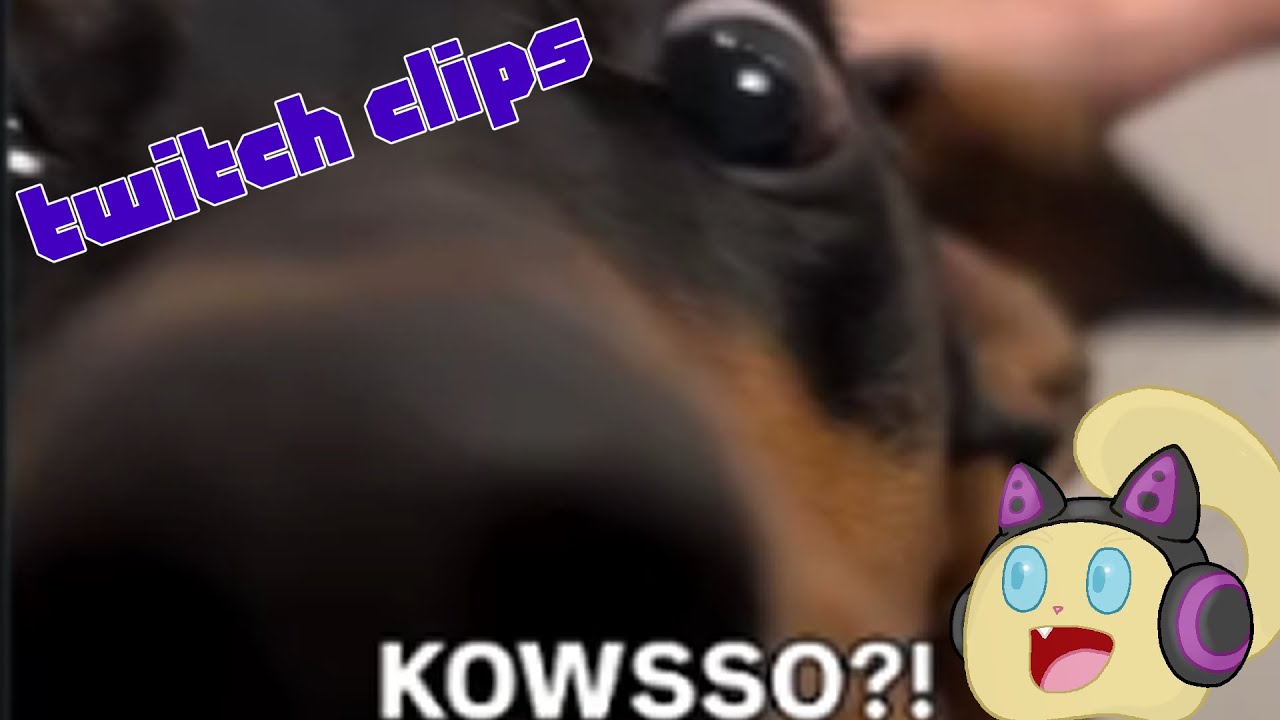 [Twitch Clips] Cwoissant
