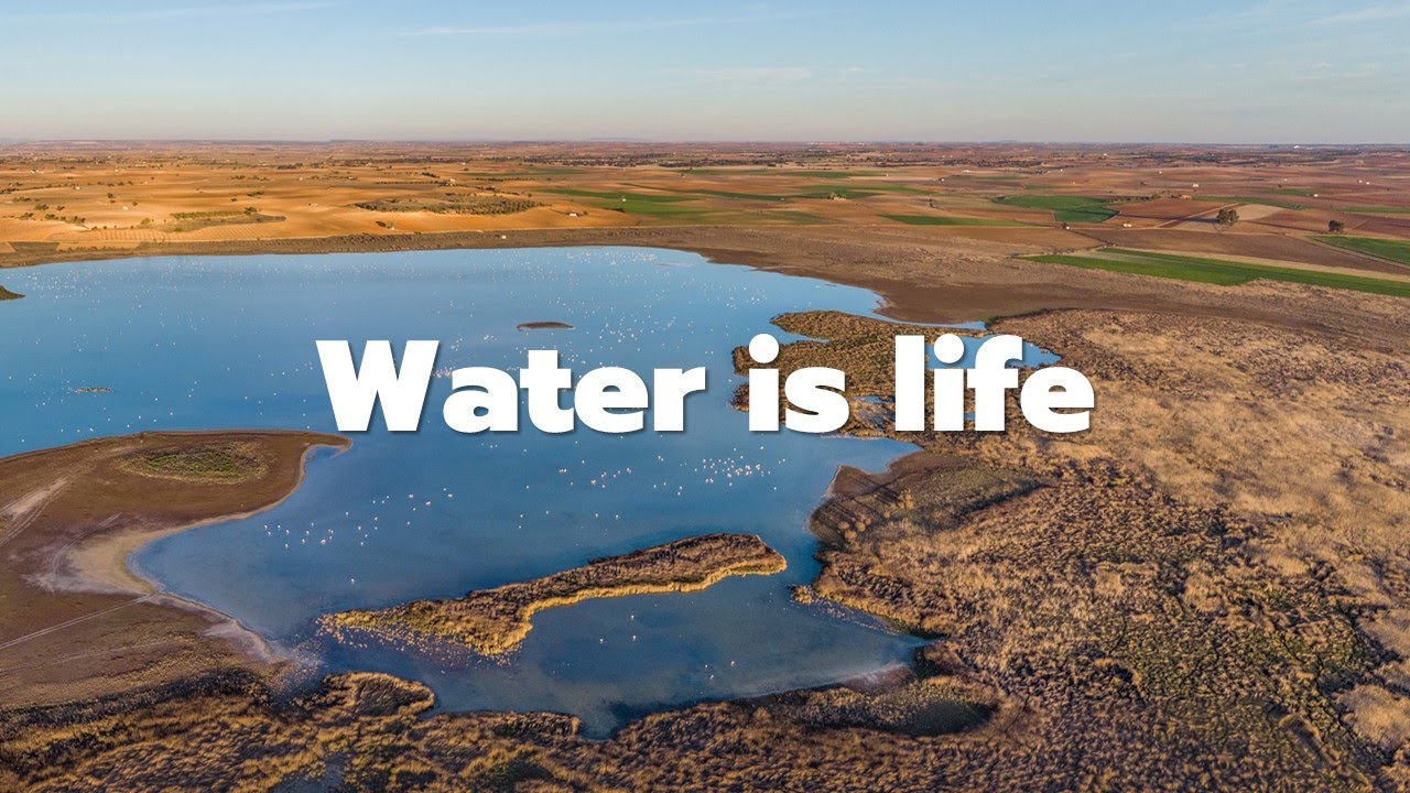 Water is life | Masoliver x Fundaci&oacute;n Global Nature