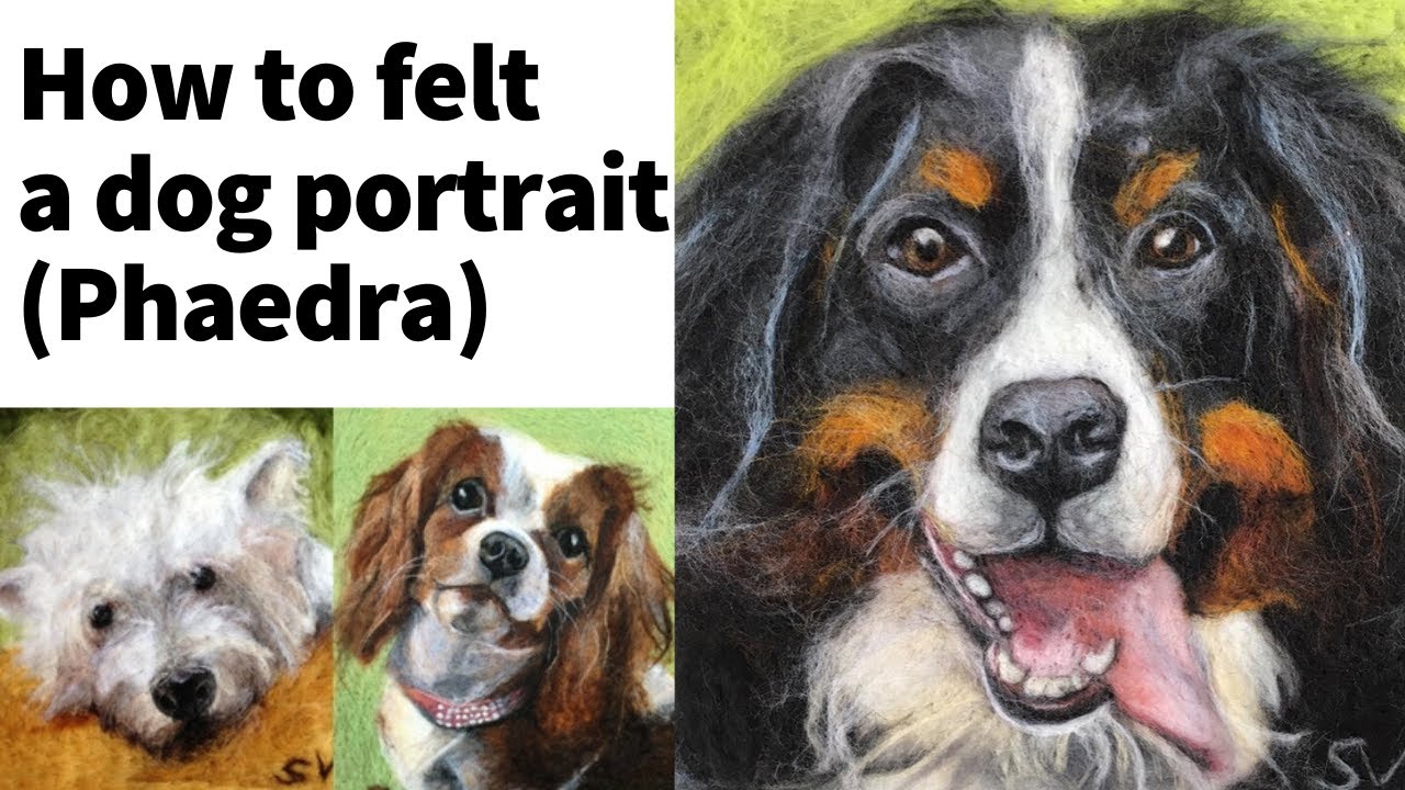 How to needle felt a dog portrait (Phaedra) a demonstration