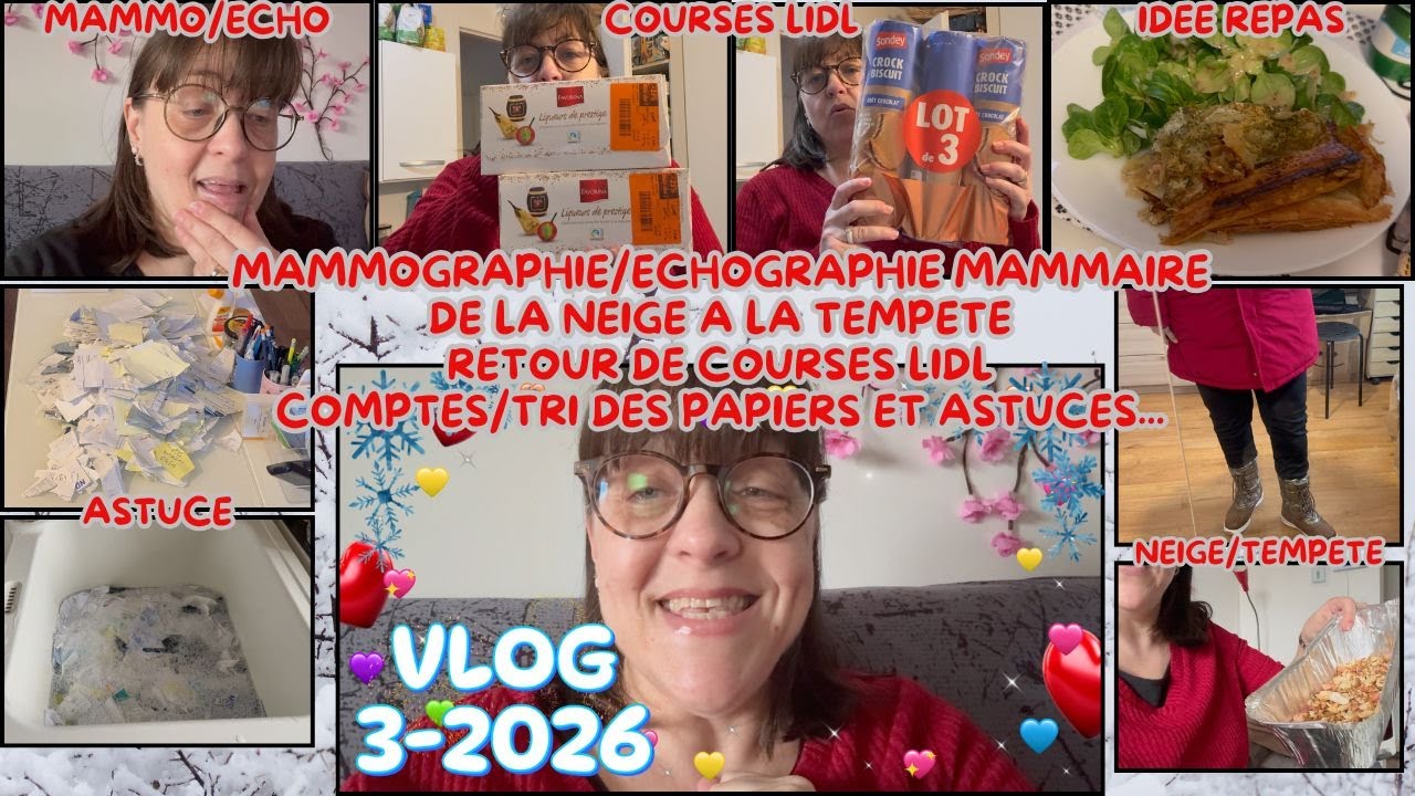 VLOG 3/2026/RETOUR DE COURSES LIDL/MAMMO ET ECHO MAMMAIRE/ASTUCE DESTRUCTION/RANGEMENT...