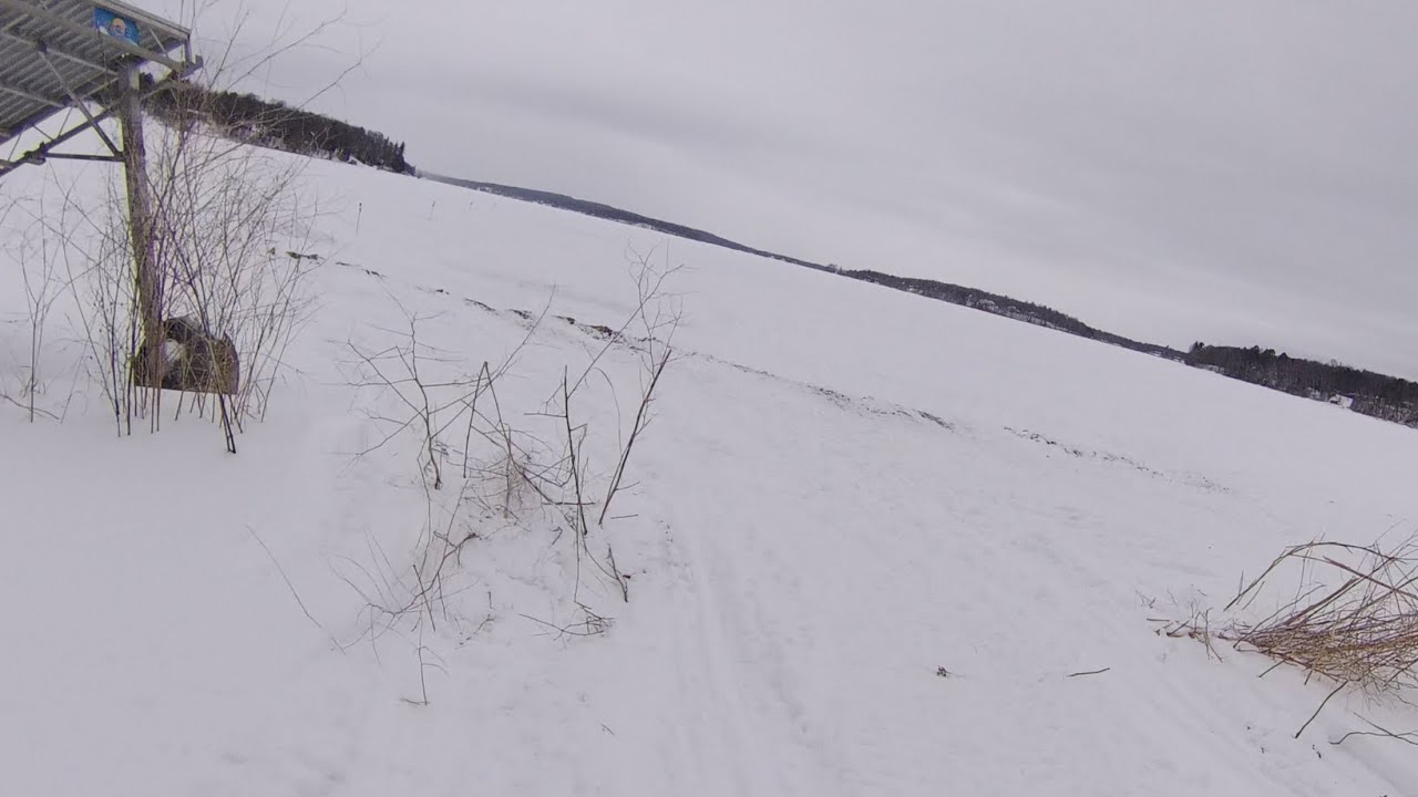 Going for a ride in the sled!