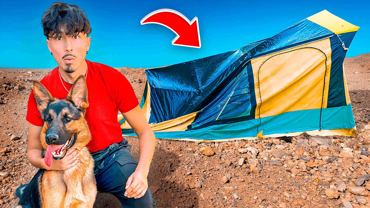 I took MY DOG Camping!