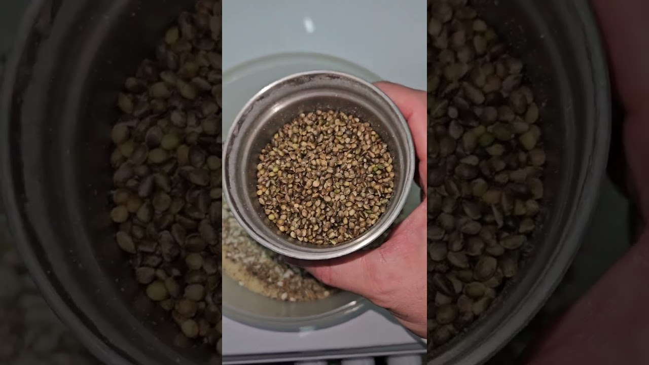 Pasta de cría para todo el año 