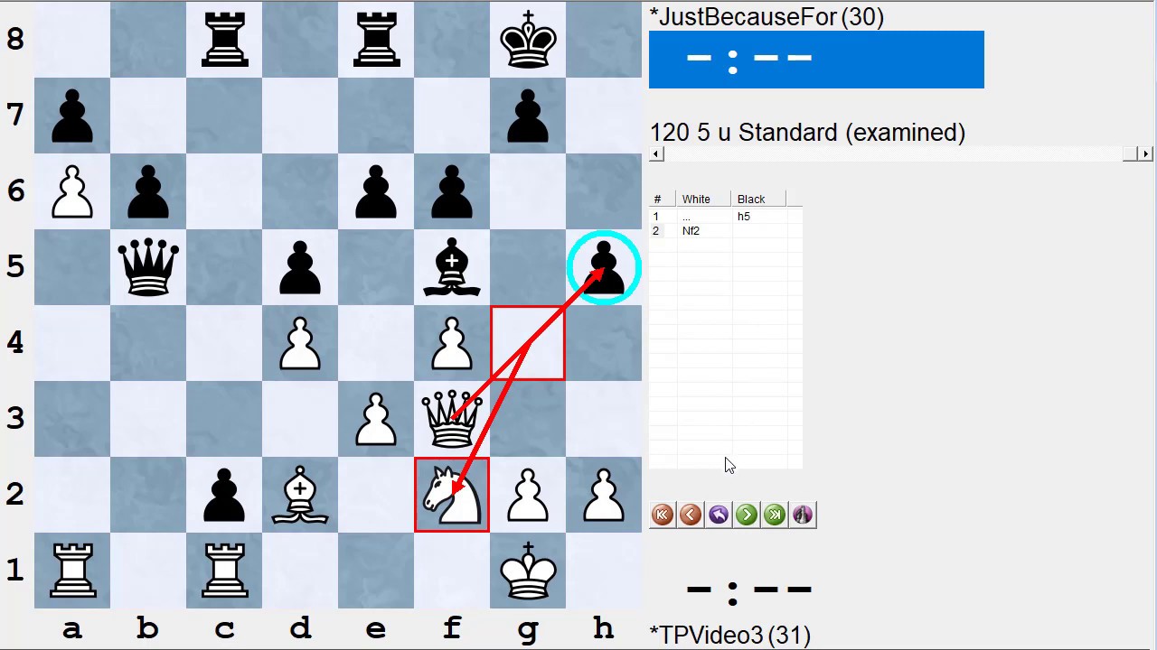 Chess Thinking: What are ALL the things that move does?