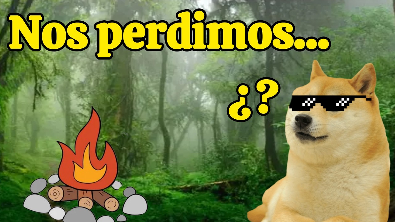Cuando te pierdes en un bosque...