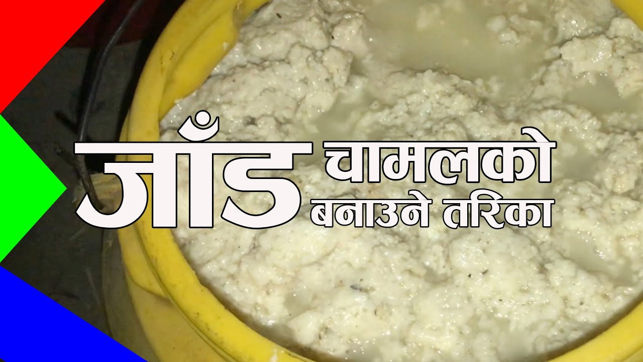 Chamal Ko Jaad Kasari Banaune Tarika | How to Make Rice Wine at Home