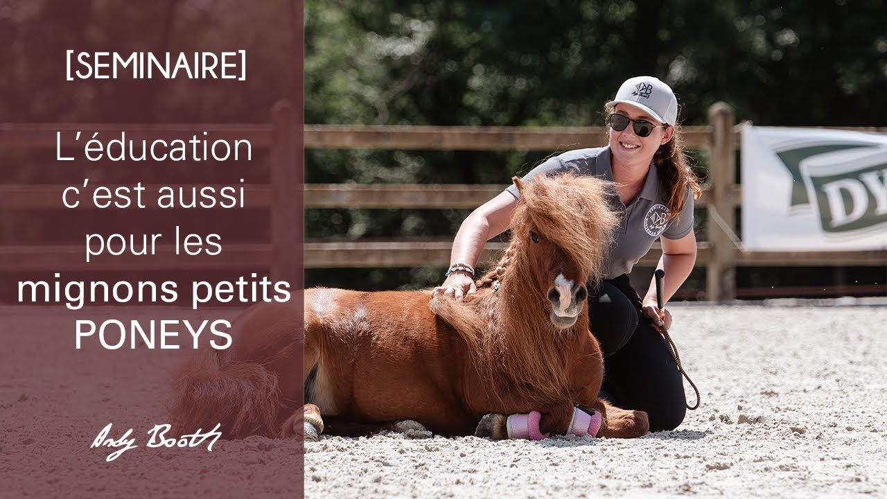 [SEMINAIRE] L'éducation c'est aussi pour les mignons petits poneys !