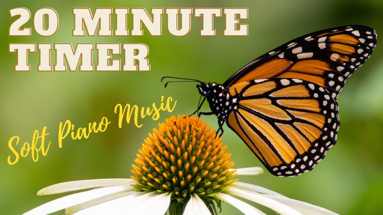 20-Minute Soft Music Butterfly Timer: Stay Focused and Productive During Your Precious Moments