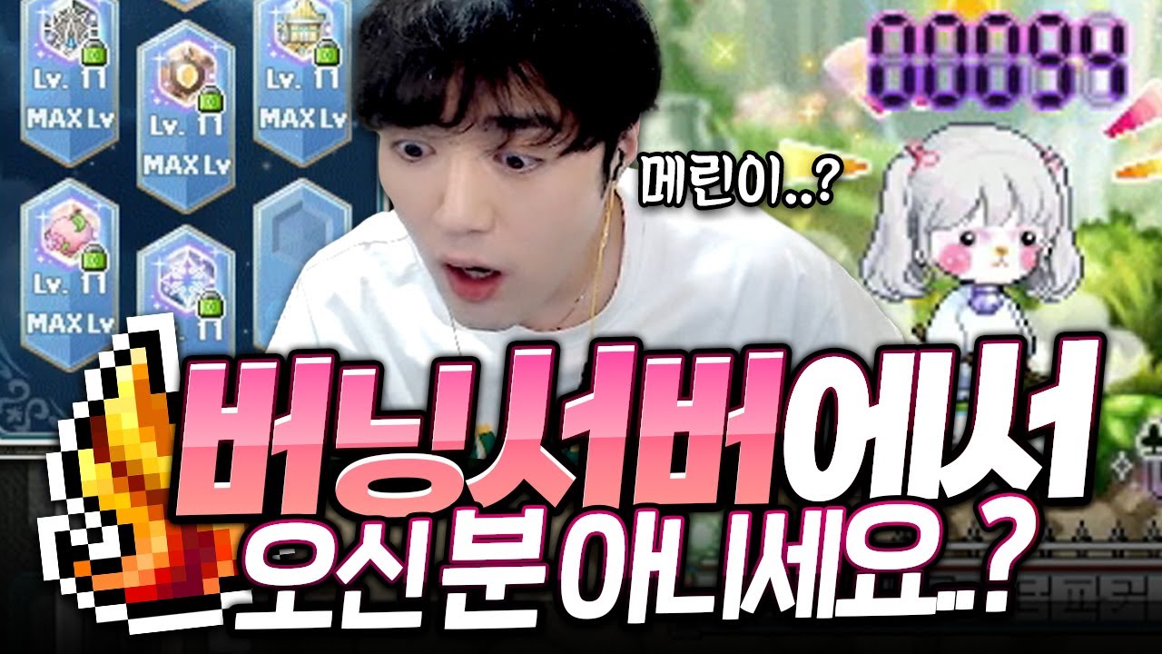어떻게 메린이가 스탯이 95000..?
