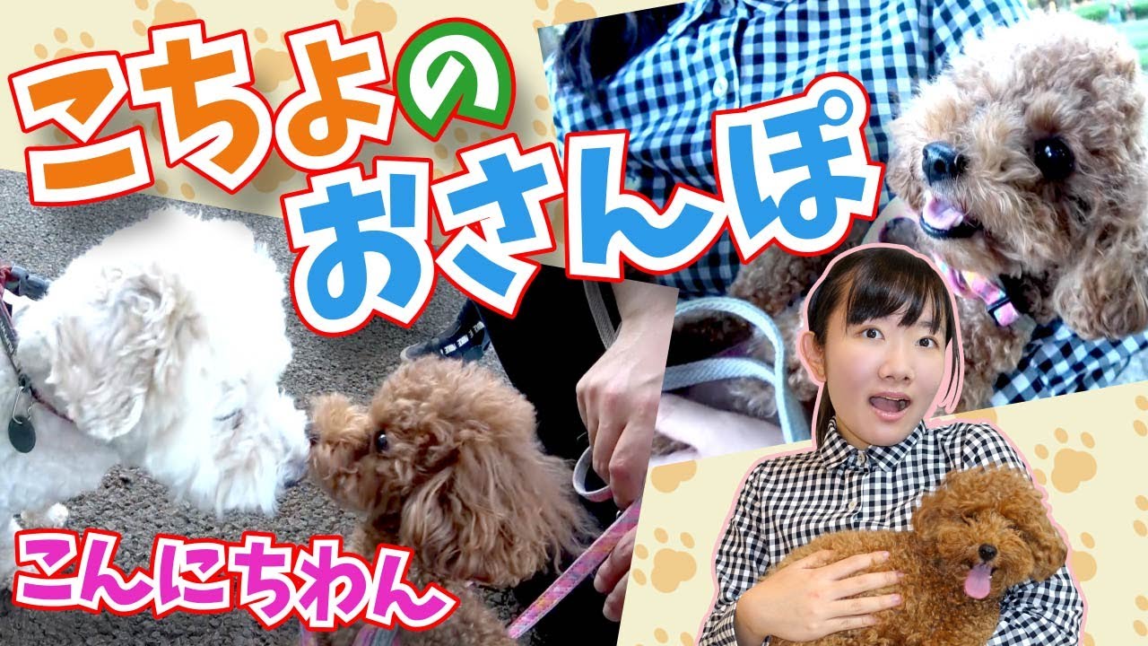 ★こちょのお散歩！わが道を行くこちょ！？～どんどん進んじゃうよ！～★