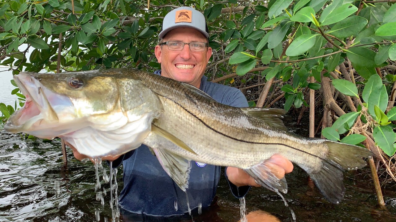 The MOST SURPRISING {Catch Clean Cook} Pan Seared Snook with Garlic Chili Aioli