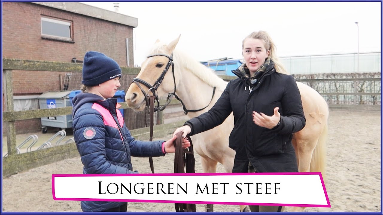 Longeren met Steef * Hart voor Paarden *