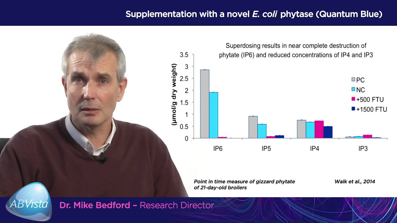 SUMMARY - Superdosing - Part 1: complete phytate destruction
