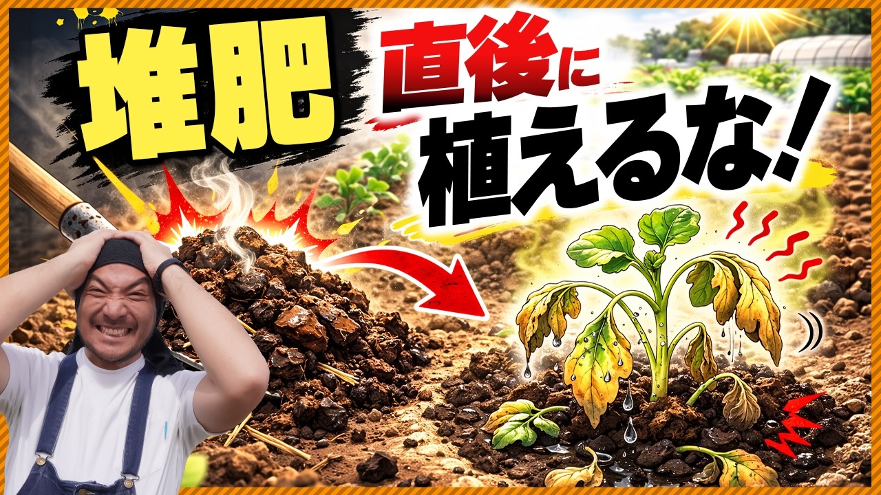 【堆肥直後に植えるな!!】農家直伝!! 苗が枯れる3つの原因と失敗しない土づくり