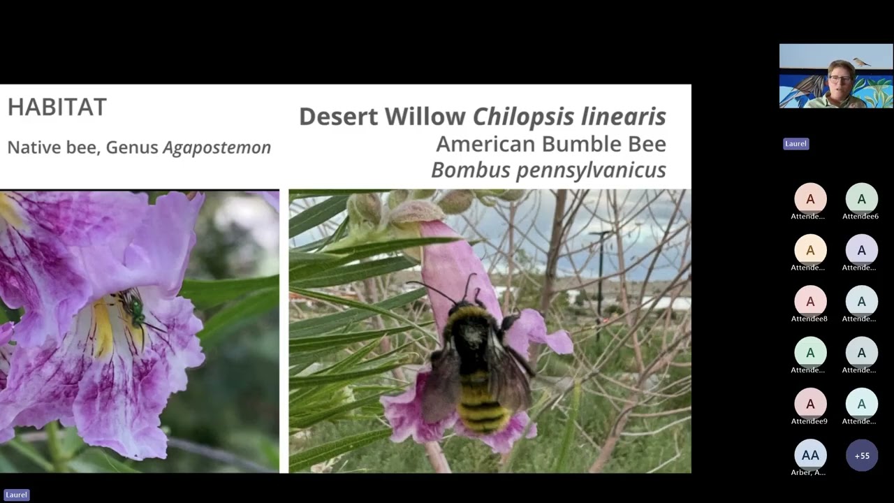 Webinar: Creating a Drought Tolerant Refuge