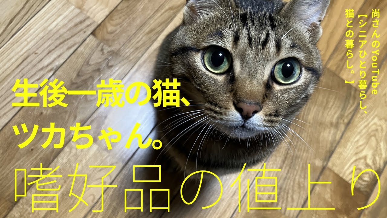 猫とぼっちでかれこれ1カ月間に２度の誤嚥。非常時に注文していて助かった田舎暮らしの嗜好品。Amazonのタイムセールで買えたもの。