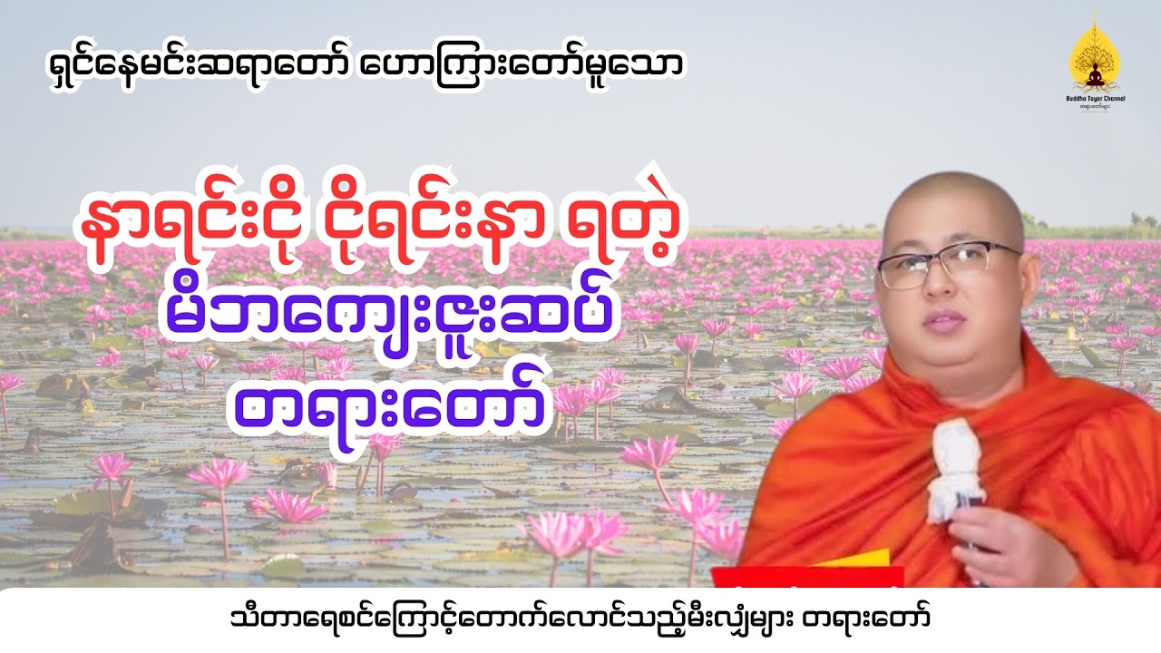 ရှင်နေမင်းဆရာတော် ဟောကြားတော်မူသော - သီတာရေစင်ကြောင့်တောက်လောင်သည့်မီးလျှံများ တရားတော်
