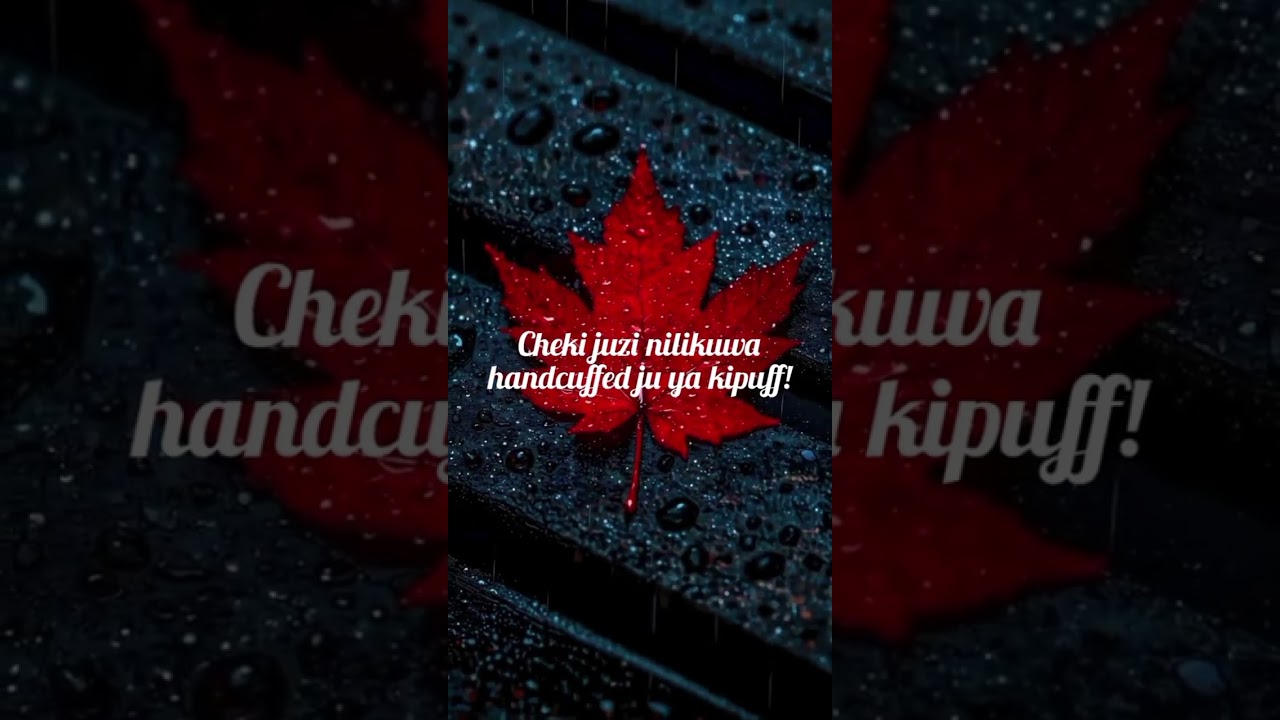 HAPPY HOUR! _ LYRICS VIDEO 