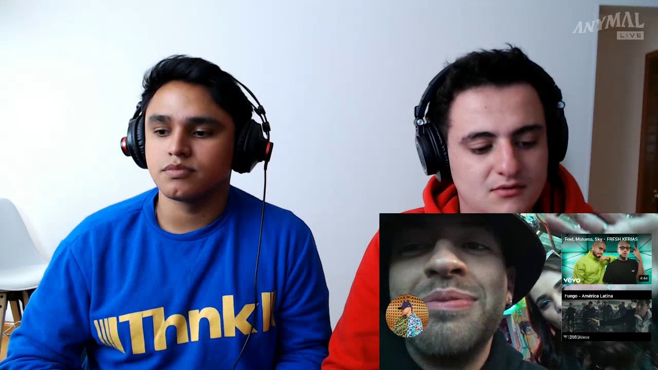 [Reacción] Feid, Manuel Turizo - BORRAXXA  - ANYMAL LIVE 🔴