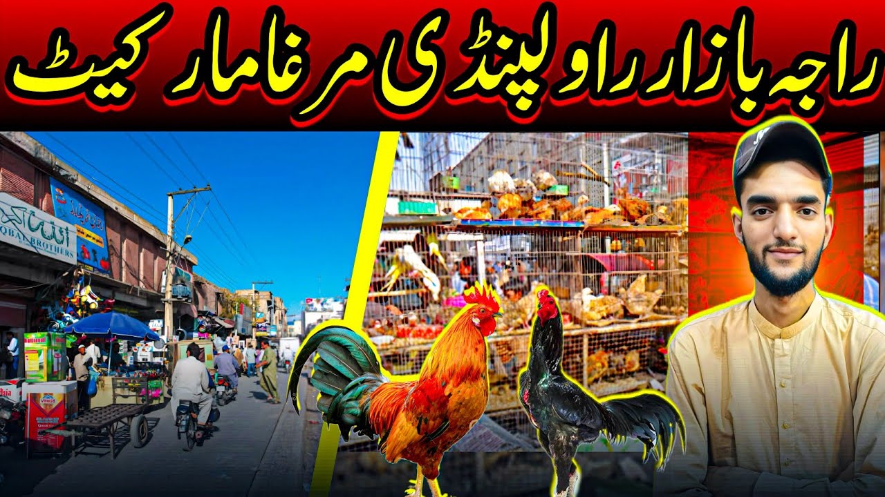 Raja Bazaar Rawalpindi Chicken Market