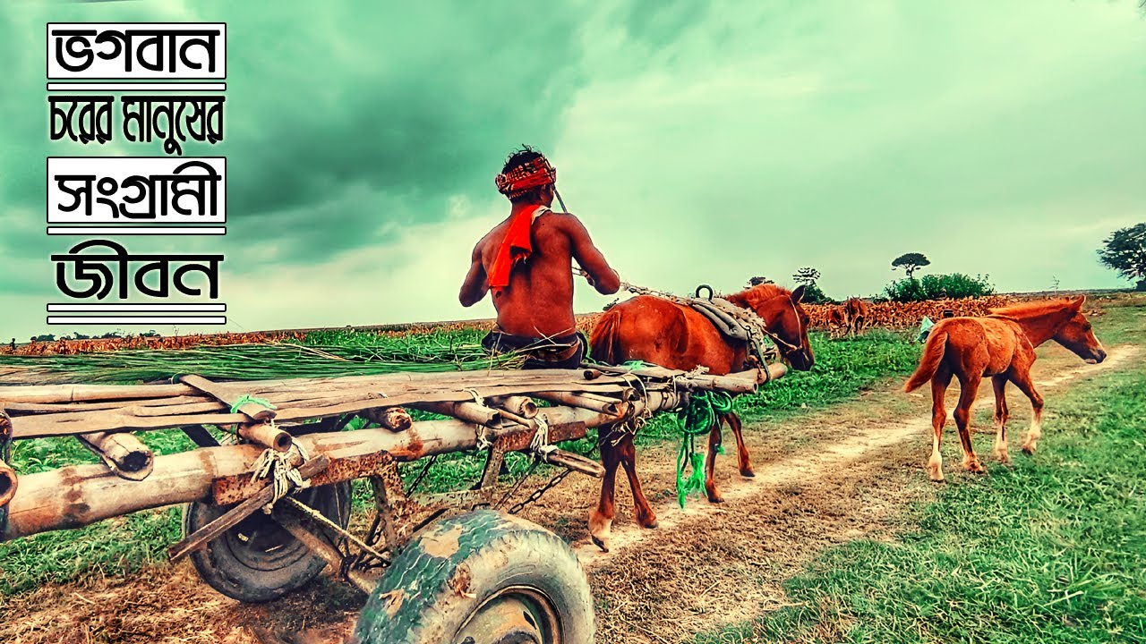 ভগবান চরের মানুষের সংগ্রামী জীবন | village life of vogoban char | Villege life in Manikganj