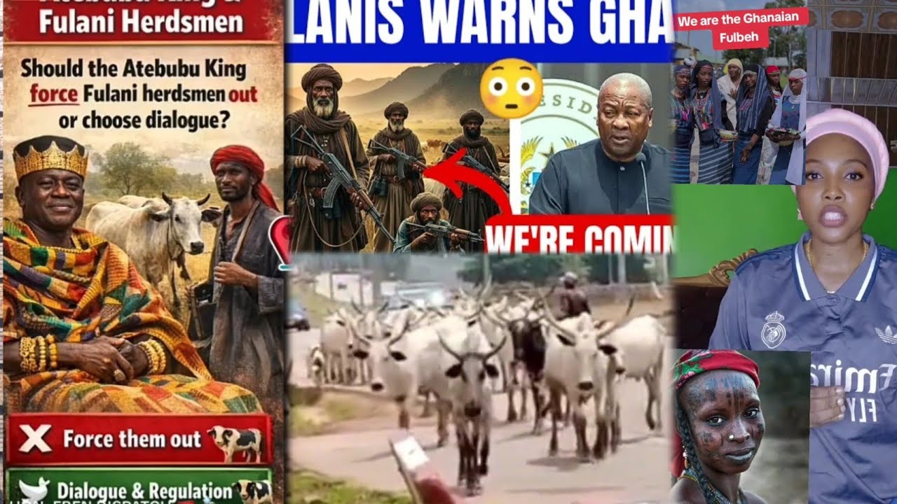 FULANI'S ARE NOW BEGGING ON THE BEHALF OF HAWA FULBEH🤔THEY ARE NON CITIZENS💔😲🔥