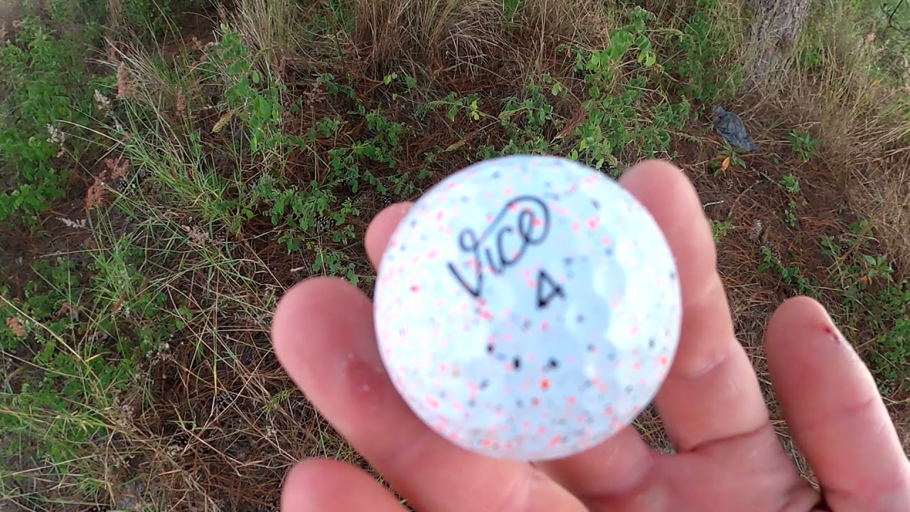 Hunting for Golf Balls in Florida