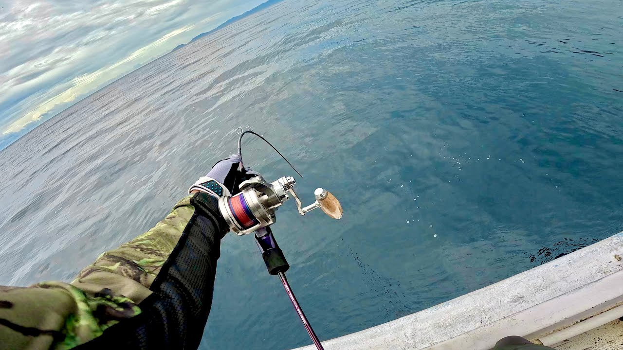 PERLAWANAN SENGIT IKAN MONSTER !!!