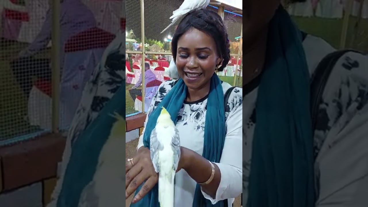 خابر عزو😍🤩فى مزرعة عبود البطحانى محمية الطيور